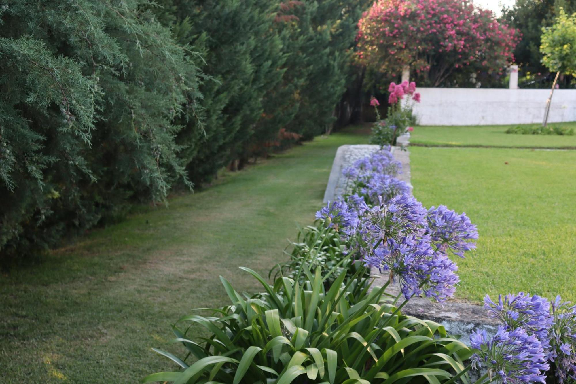 Quinta Do Regalo Villa Coimbra Dış mekan fotoğraf