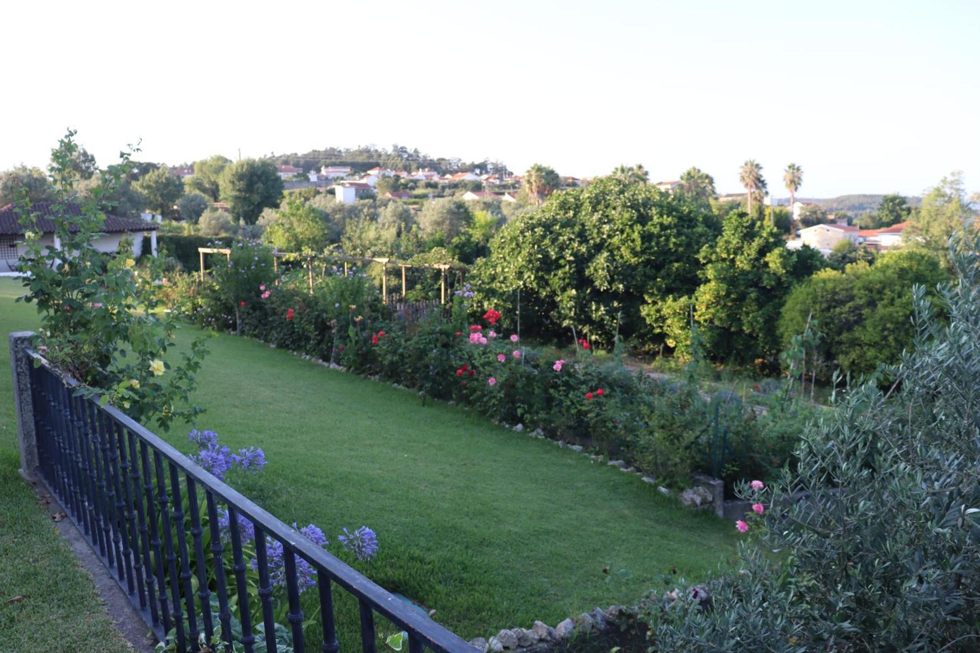 Quinta Do Regalo Villa Coimbra Dış mekan fotoğraf